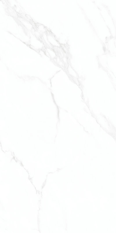 X1TF12629L 伊維薩白